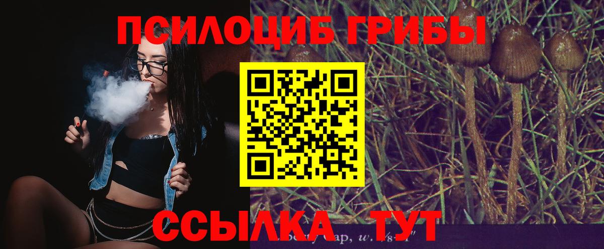 Псилоцибиновые грибы прущие грибы  Вход с VPN  Барабинск 